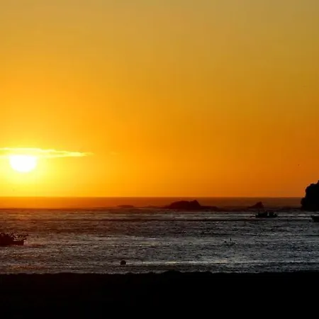 North Wave Willa